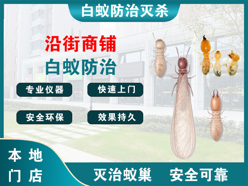 射阳沿街商铺白蚁防治