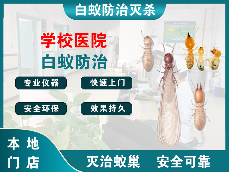 射阳学校医院白蚁防治