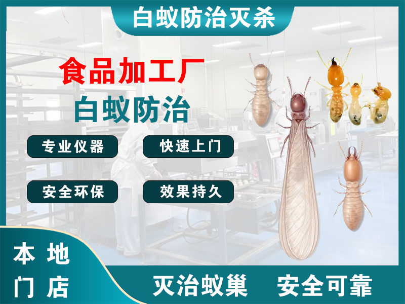 射阳食品加工厂白蚁防治