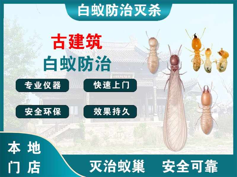射阳古建筑白蚁防治