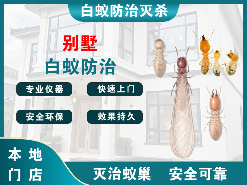 射阳别墅白蚁防治